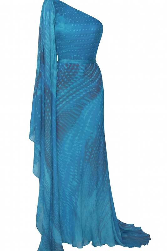 Roberto Cavalli Blue Gown