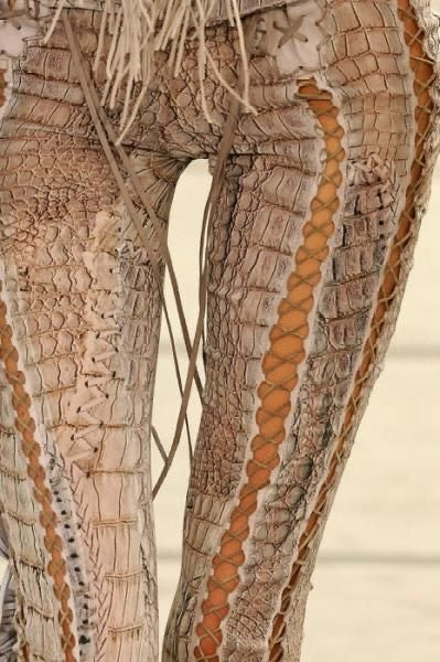 Roberto Cavalli RARE and ARCHIVAL VINTAGE set